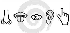 Sense organs: smell, sight, hearing, touch, taste icon vector, illustration, symbol